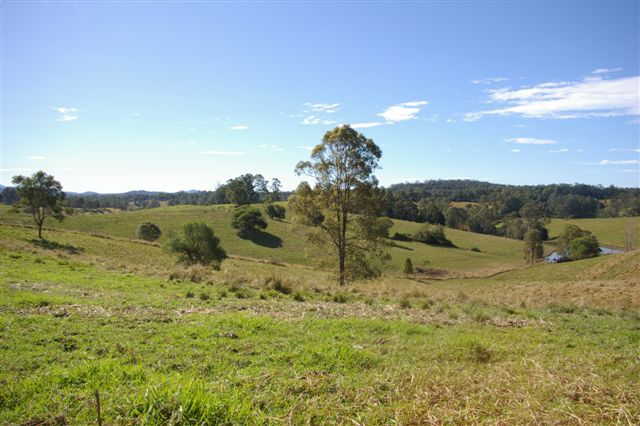 LIFESTYLE BLOCK Picture 2