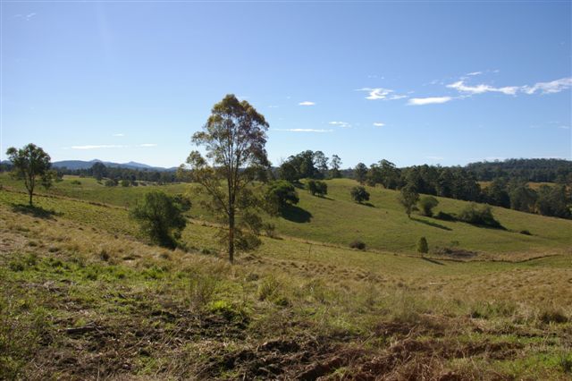 LIFESTYLE BLOCK Picture 3