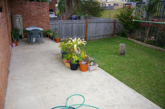 INVEST OR NEST Picture 3