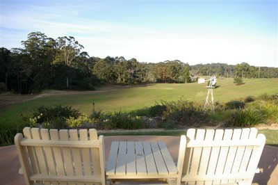 A SLICE OF PARADISE Picture