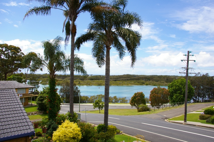 ON THE FORESHORE Picture 1