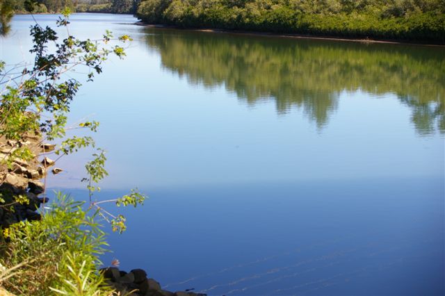 ON THE WATER FRONT Picture 1