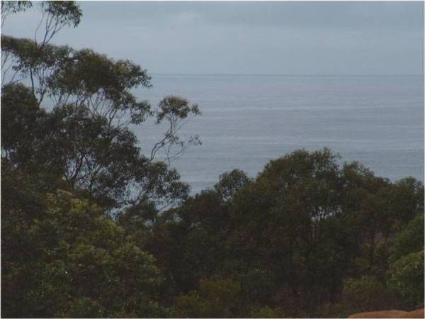 *Centenary Village* Picture 1