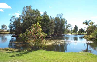 *Buy Both* Picture 2