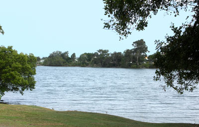 *Buy Both* Picture 3