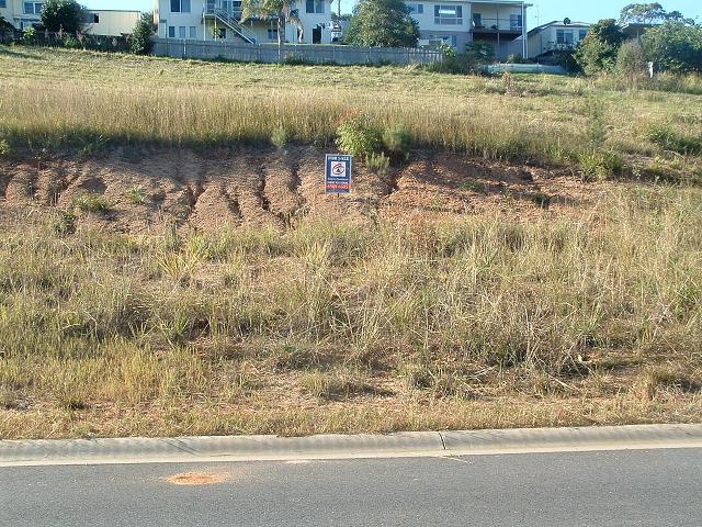 MOTIVATED VENDOR Picture 2