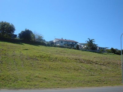 MOTIVATED VENDOR Picture