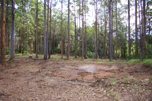 TRANQUILITY Picture 2