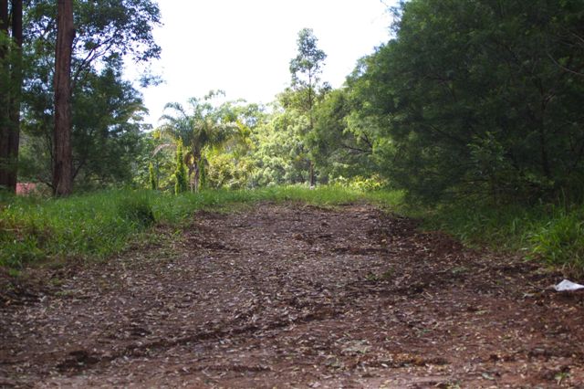 TRANQUILITY Picture 3