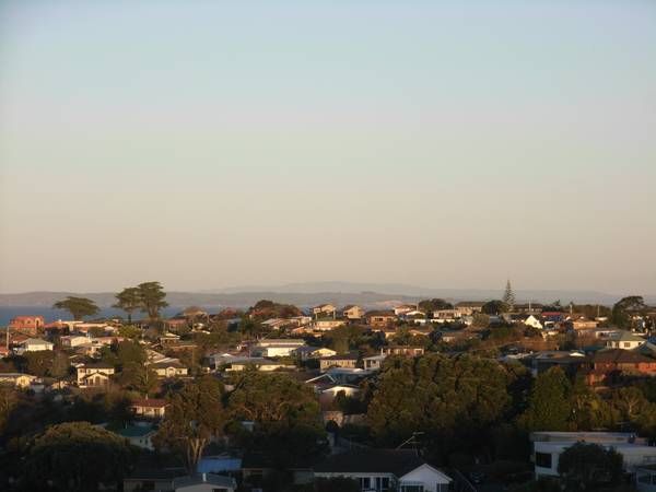 Manly Picture Manly Picture