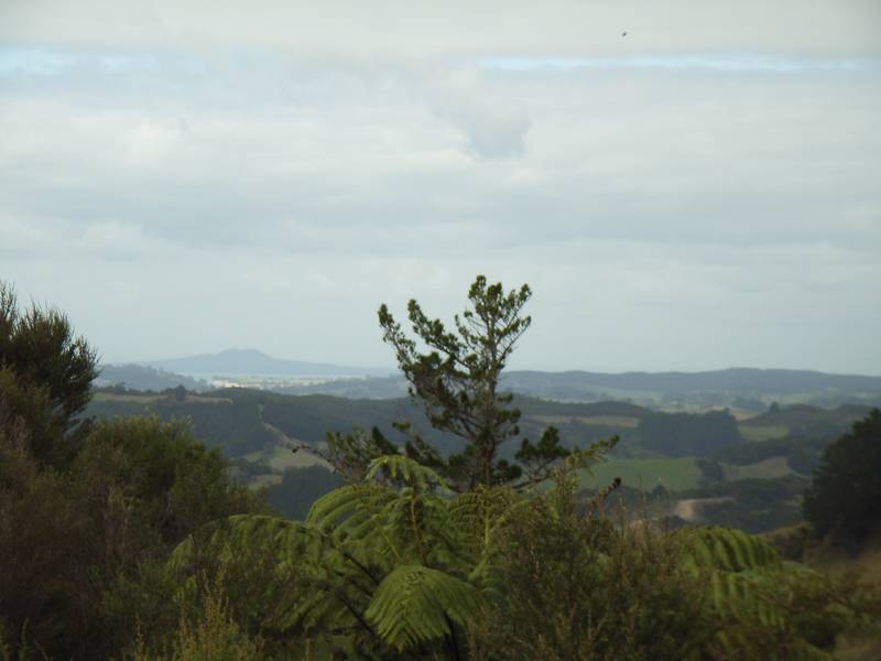 Crows Nest
Outlook Picture 3