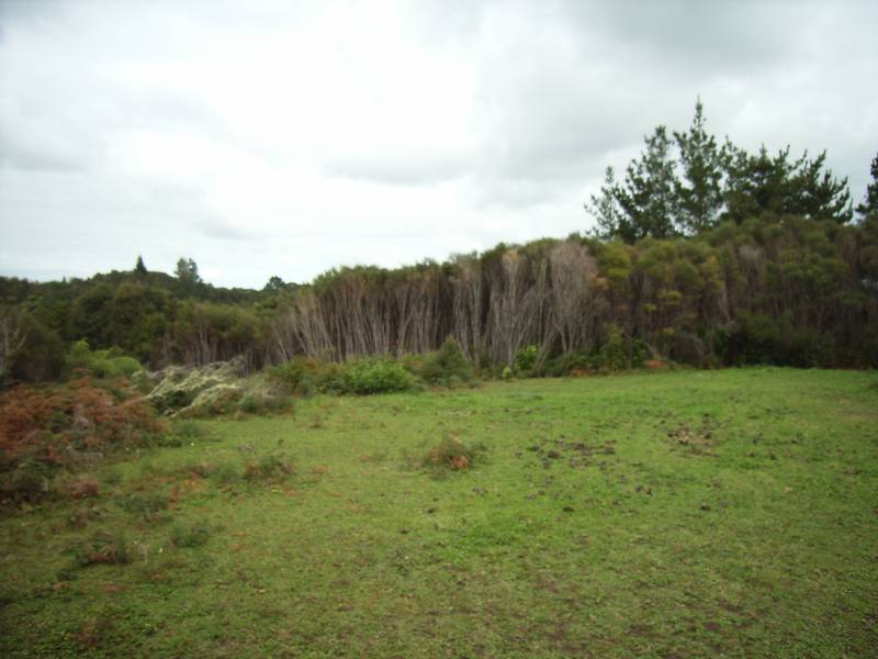 Crows Nest
Outlook Picture 1