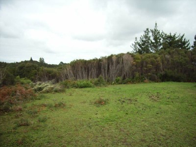 Crows Nest
Outlook Picture Crows Nest
Outlook Picture