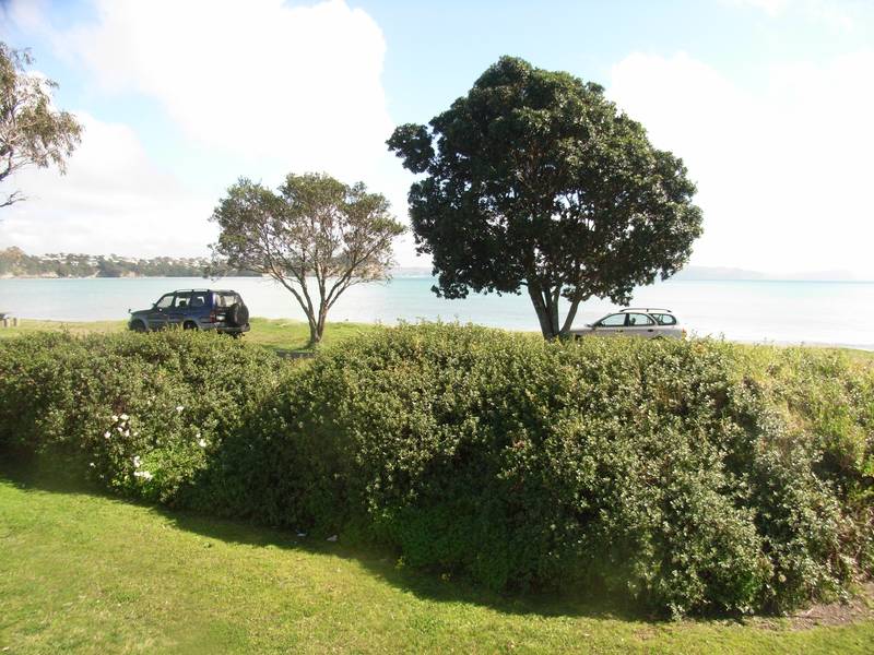 BEACH FRONT MANLY Picture 3