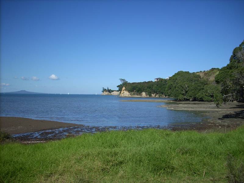 BEACH FRONT RESERVE SECTION Picture 3