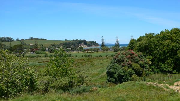 SECTION - 38 KOTANUI AVENUE Picture 2