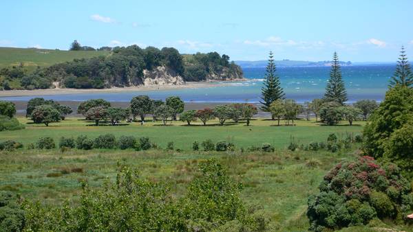 SECTION - 38 KOTANUI AVENUE Picture 1