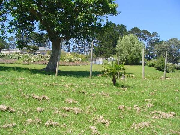 STANMORE BAY $540,000 Picture 1