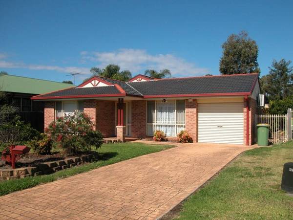 A Real Steal! Picture 1