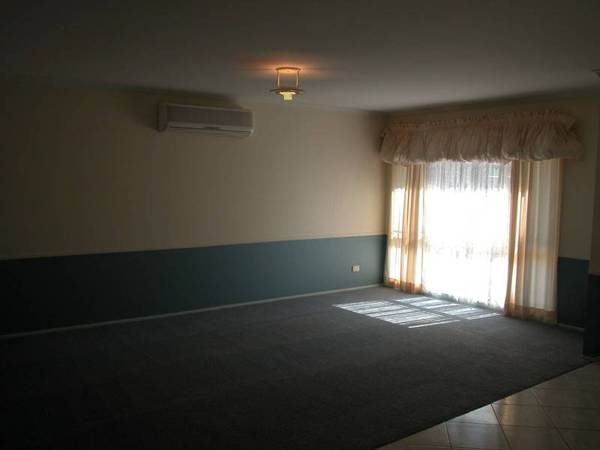 A Real Steal! Picture 3