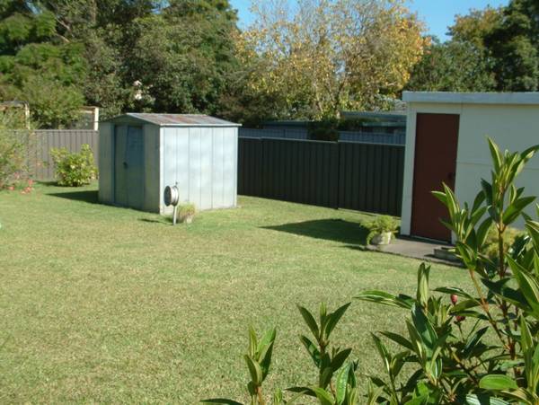 Neat as a pin Picture