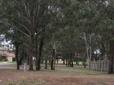 Vacant Corner Block Picture