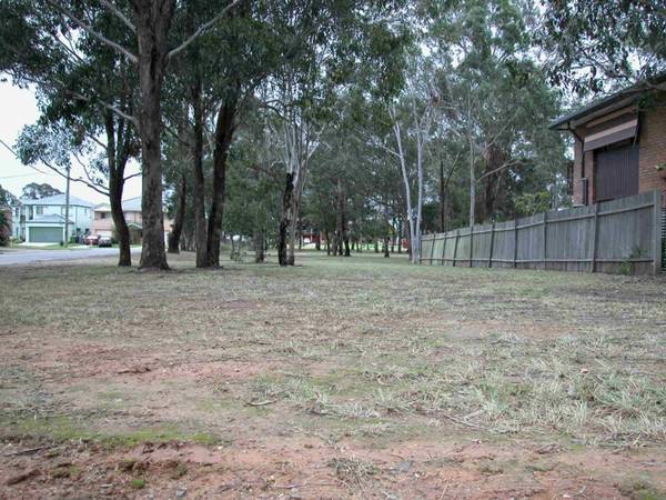 Vacant Corner Block Picture 2