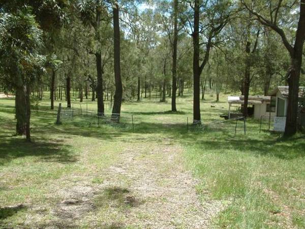 Five acres - great starter package Picture