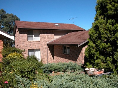 Village Living, Views to Sydney Picture