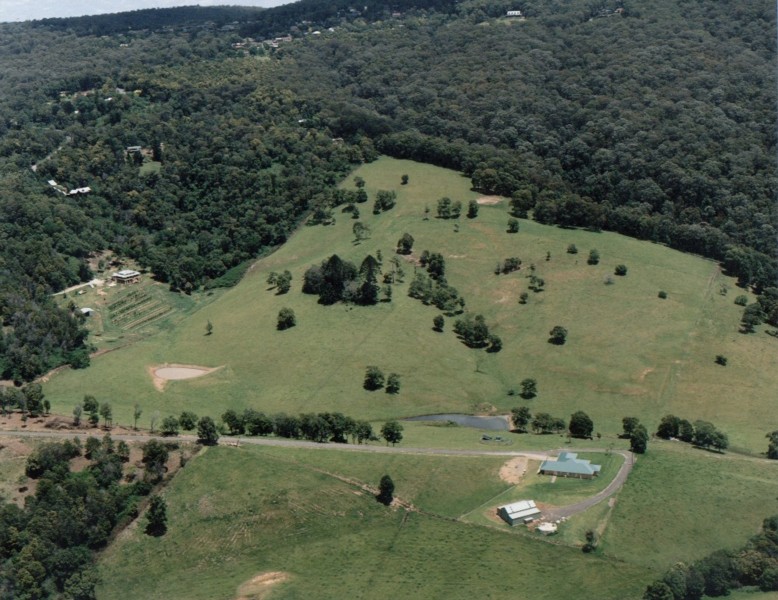 'Showdown Stud' - A Gateway to Heaven Picture 1