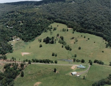 'Showdown Stud' - A Gateway to Heaven Picture