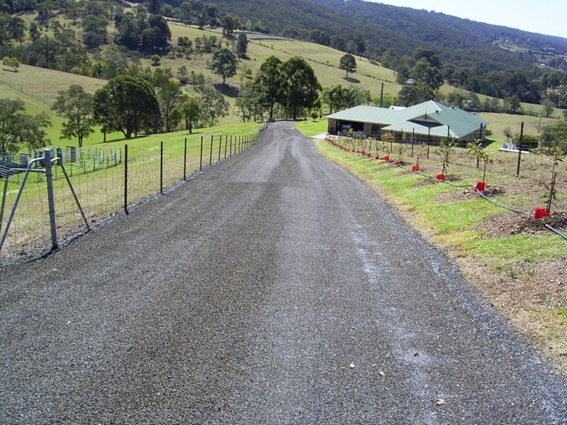 'Showdown Stud' - A Gateway to Heaven Picture 2