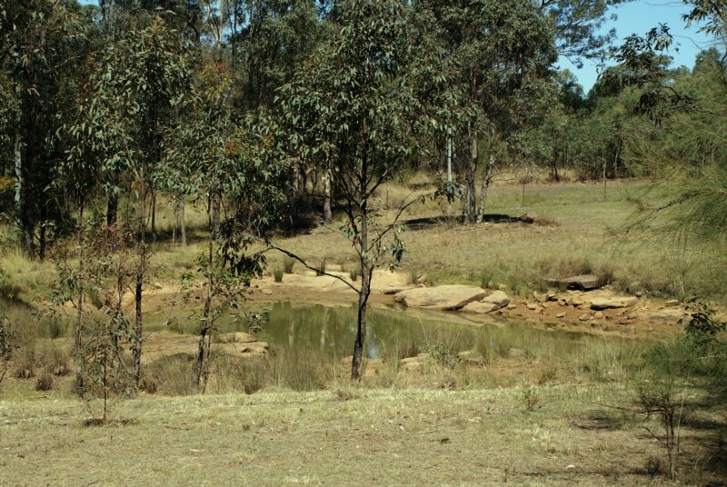 Vacant acres - rural setting Picture 3