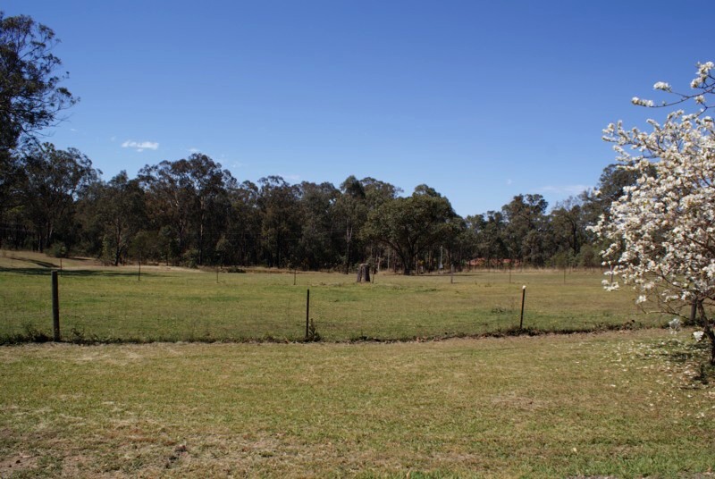 Vacant acres - rural setting Picture 2