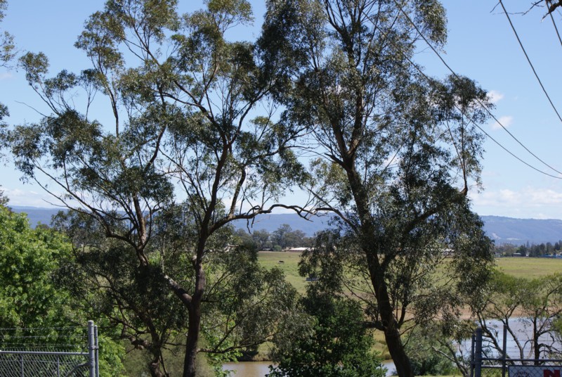 Four (4 ) Bedrooms. Fabulous Views! Picture 3