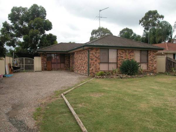 Freshly painted 4 bedroom home Picture 1