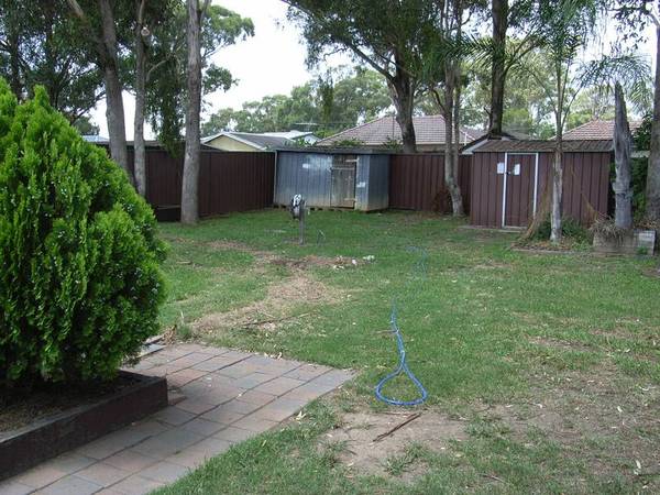 PLENTY OF ROOM FOR A GAME OF CRICKET Picture 3