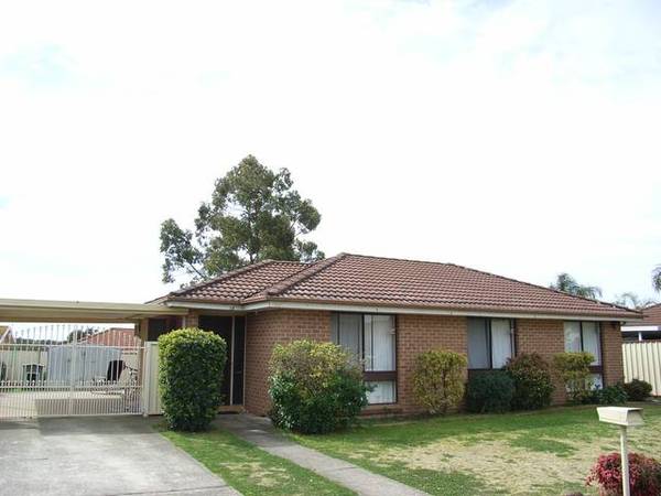 GREAT NEIGHBOURHOOD Picture 1