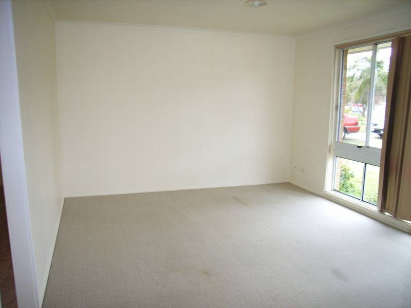 HUGE YARD FOR THE KIDS - avail after 25/2/09 Picture