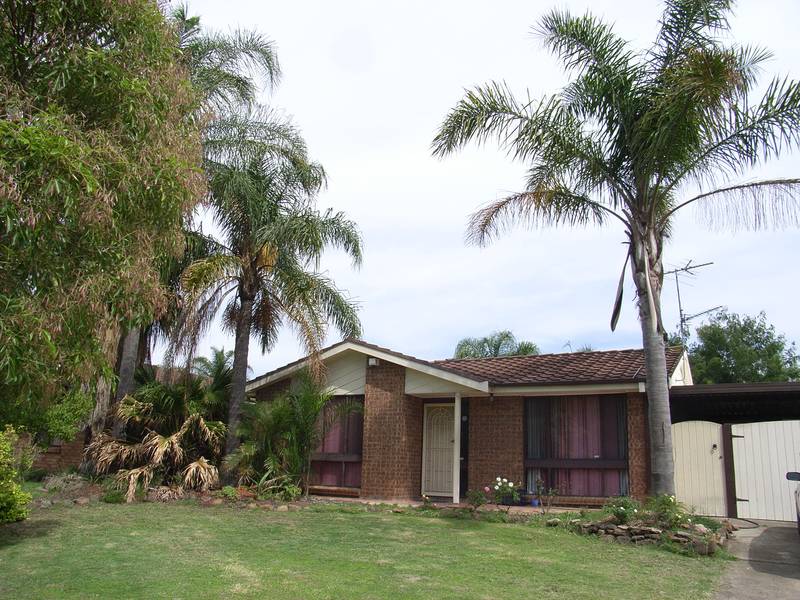 WHO NEEDS CAR Picture 1