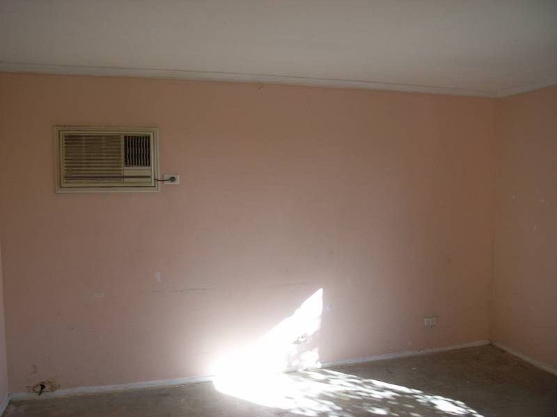 RENOVATORS DELIGHT Picture 2