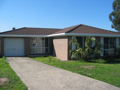 POTENTIAL PLUS Picture