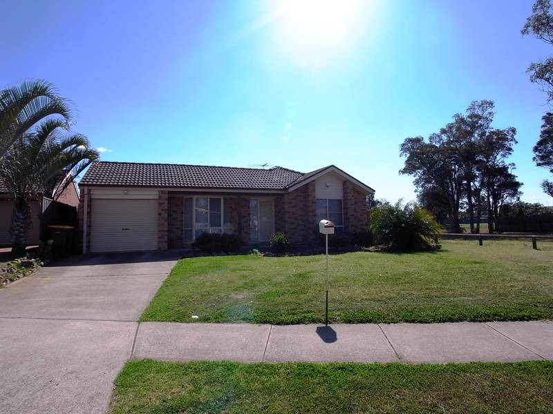 LOTS OF ROOM TO RUN AROUND Picture 2