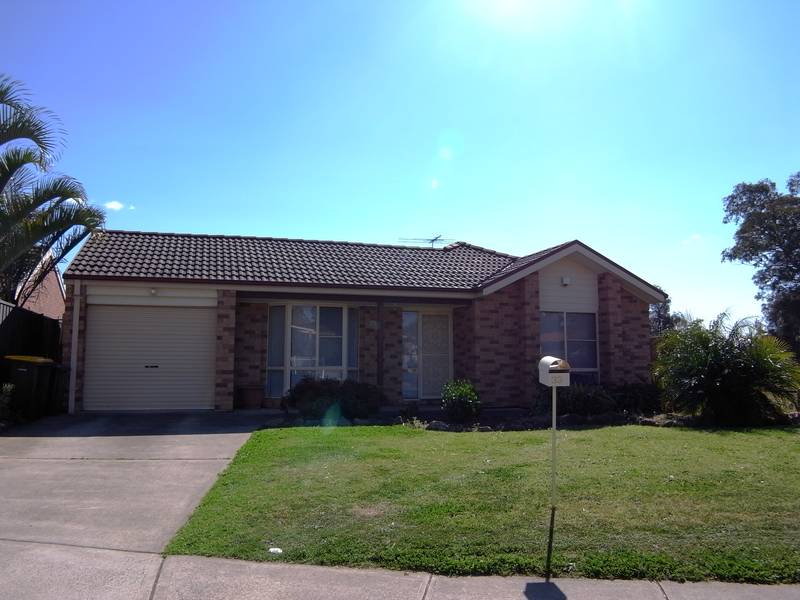 LOTS OF ROOM TO RUN AROUND Picture 1