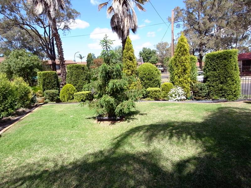 A JEWEL IN THE CROWN Picture 2