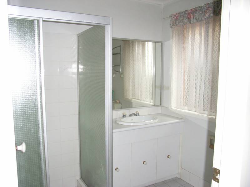 ENTERTAINERS DELIGHT Picture 3