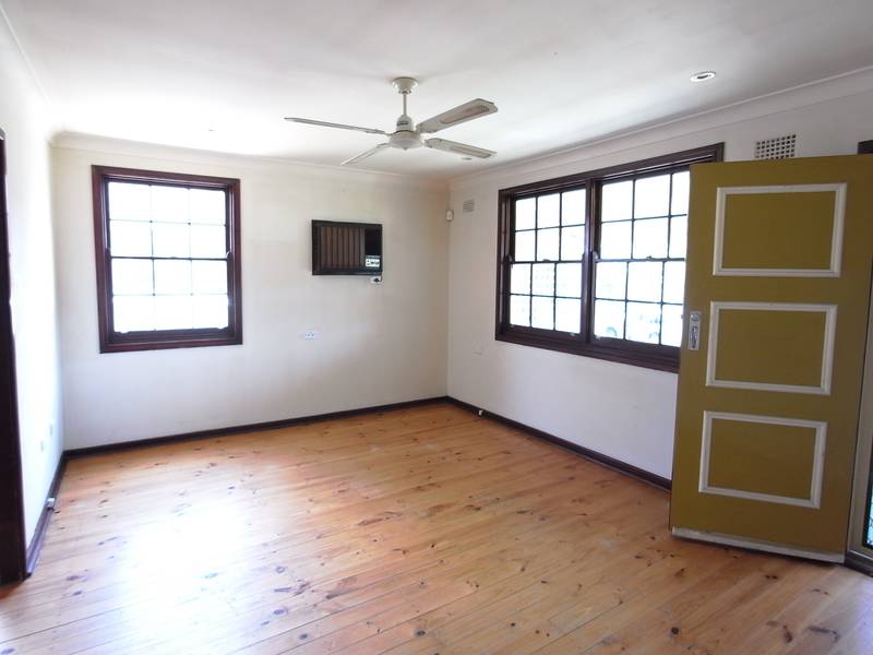 DIAMOND IN THE ROUGH Picture 2