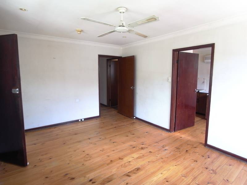 DIAMOND IN THE ROUGH Picture 3