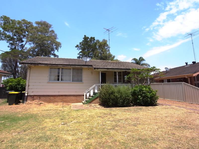 DIAMOND IN THE ROUGH Picture 1