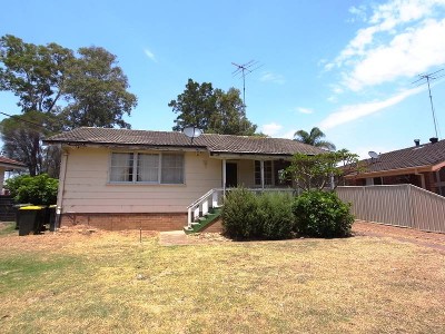 DIAMOND IN THE ROUGH Picture